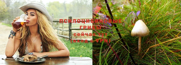 твердый Белокуриха