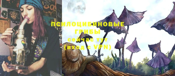 твердый Белокуриха