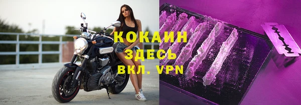 твердый Белокуриха